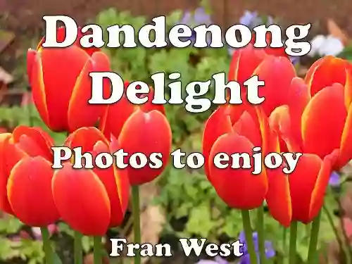 Dandenong Delight: Photos To Enjoy (a Children S Picture Book)