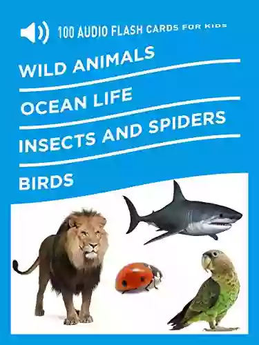 100 Audio Flash Cards For Kids: Wild Animals Ocean Life Insects And Spiders Birds