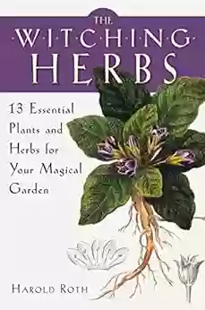 The Witching Herbs: 13 Essential Plants And Herbs For Your Magical Garden