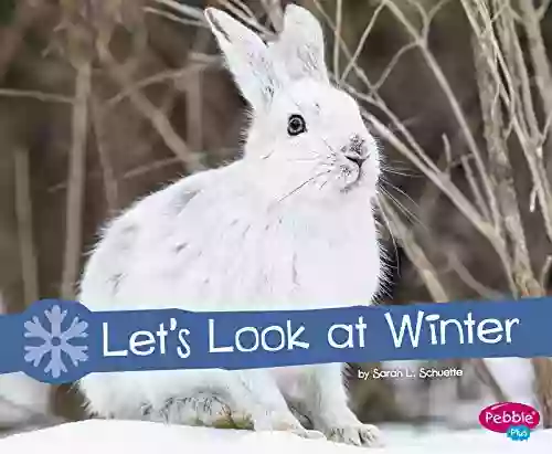 Let S Look At Winter: A 4D (Investigate The Seasons)