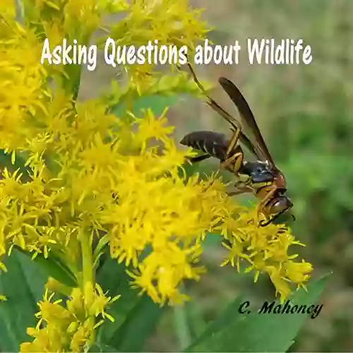 Asking Questions about Wildlife C Mahoney