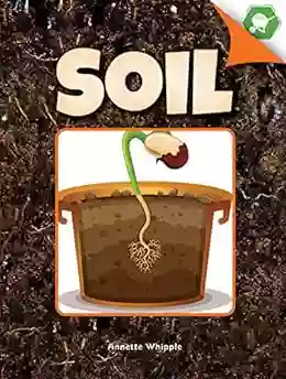 Soil (A Closer Look at Plants)