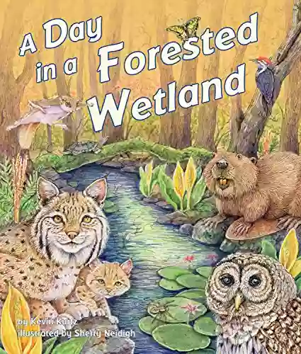 Day in a Forested Wetland A (Day In the Habitat)