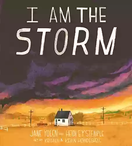 I Am the Storm Heidi E Y Stemple