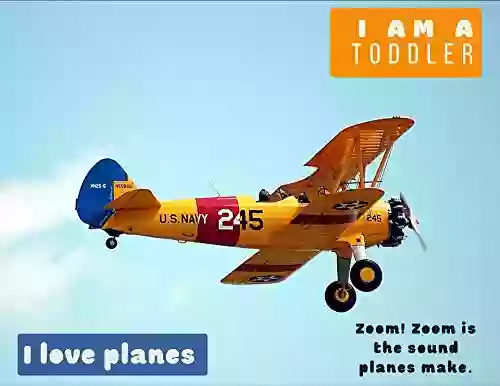 I Am A Toddler I Love Planes : Zoom Zoom Is The Sound That They Make (Rhythm Of Reading 12)