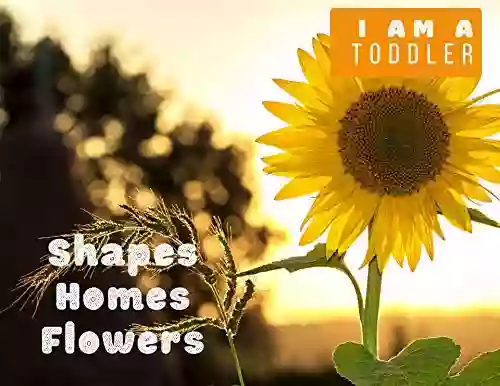 I Am A Toddler Shapes Homes Flowers : Shapes Are Great (Math Is Magnificent 10)