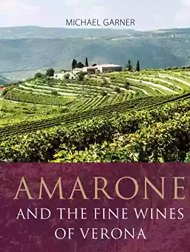 Amarone And The Fine Wines Of Verona (The Infinite Ideas Classic Wine Library)