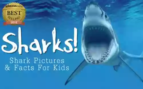 Amazing Fun Facts about Sharks for Kids with Over 25 Pictures Photos of Sharks