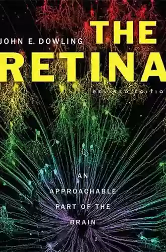 The Retina: An Approachable Part Of The Brain Revised Edition