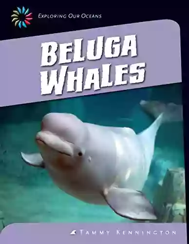 Beluga Whales (21st Century Skills Library: Exploring Our Oceans)