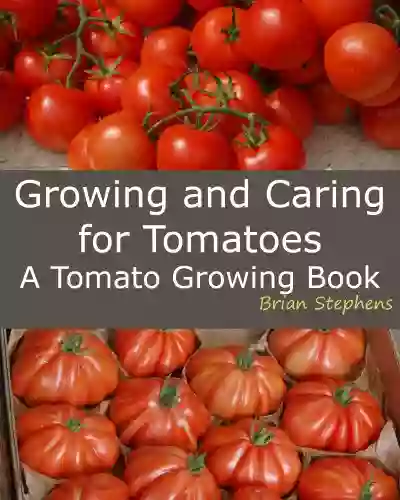 Growing And Caring For Tomatoes: An Essential Tomato Growing