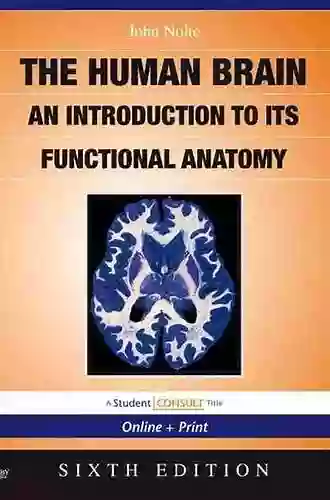 Nolte S The Human Brain E Book: An Introduction To Its Functional Anatomy