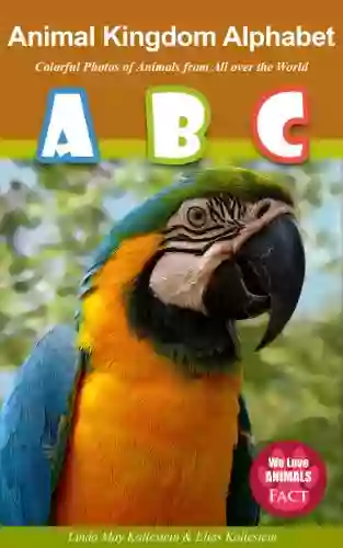 Animal Kingdom Alphabet Colorful Photos Of Animals From All Over The World (We Love Animals Fact 1)