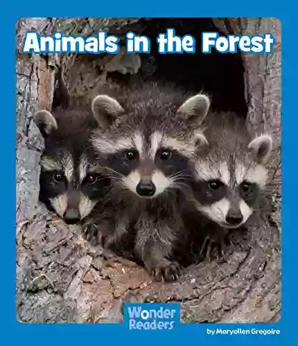 Animals In The Forest (Wonder Readers Emergent Level)