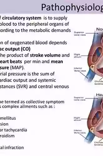 Applied Cerebral Angiography: Normal Anatomy And Vascular Pathology