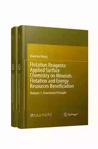 Flotation Reagents: Applied Surface Chemistry On Minerals Flotation And Energy Resources Beneficiation: Volume 2: Applications