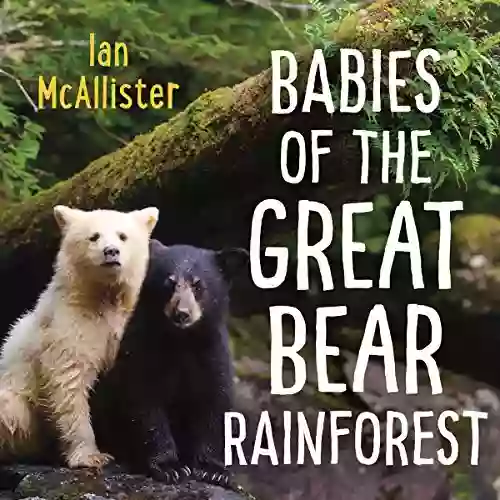 Babies Of The Great Bear Rainforest