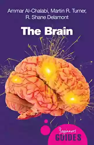 The Brain: A Beginner S Guide (Beginner S Guides)