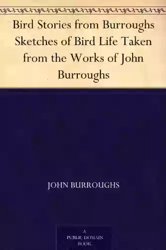 Bird Stories from Burroughs Sketches of Bird Life Taken from the Works of John Burroughs