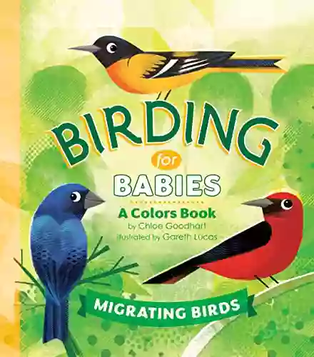 Birding For Babies: Migrating Birds: A Colors