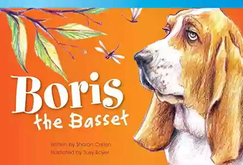 Boris The Bassett (Fiction Readers)