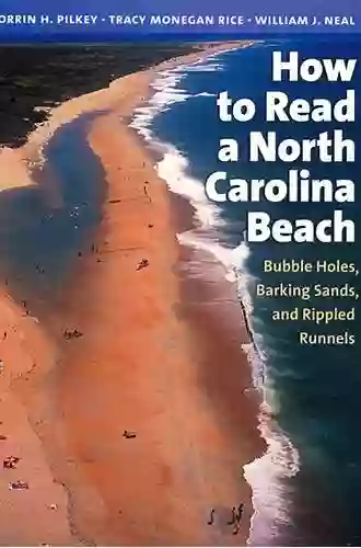 How To Read A North Carolina Beach: Bubble Holes Barking Sands And Rippled Runnels (Southern Gateways Guides)