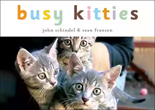 Busy Kitties (A Busy Book)