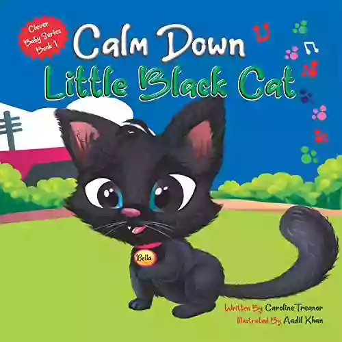 Calm Down Little Black Cat: Clever Baby (Book 1)