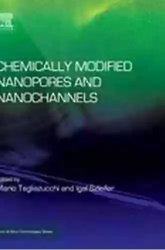 Chemically Modified Nanopores And Nanochannels