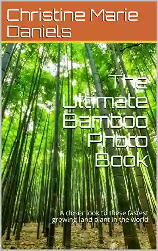 The Ultimate Bamboo Photo Book: A Closer Look To These Fastest Growing Land Plant In The World