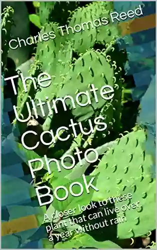 The Ultimate Cactus Photo Book: A Closer Look To These Plant That Can Live Over A Year Without Rain