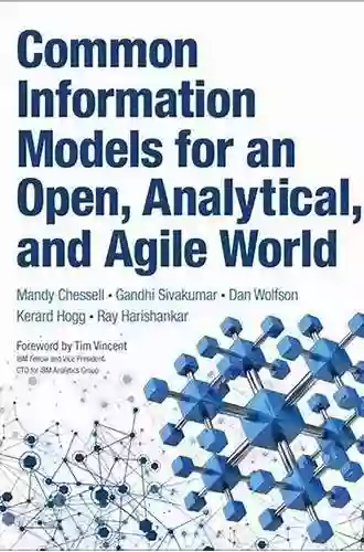 Common Information Models For An Open Analytical And Agile World (IBM Press)