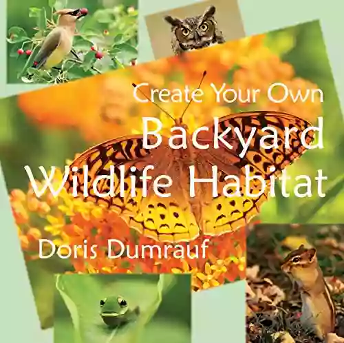 Create Your Own Backyard Wildlife Habitat: Outdoor Nature