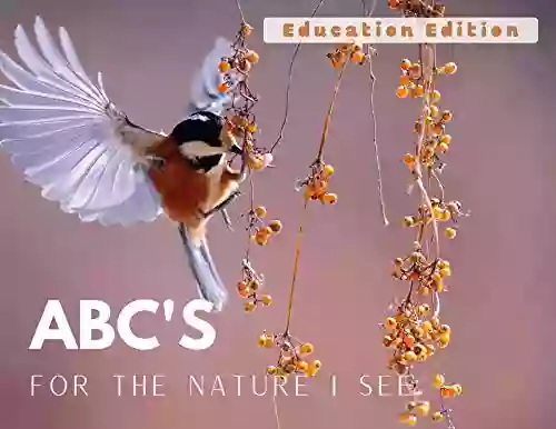 ABC S For The Nature I See Let S Nurture Nature : 3 Creative Stories (Reading Rocks 2)