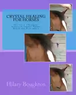 Crystal Healing For Horses Charles Langley