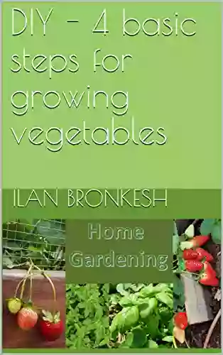 DIY 4 basic steps for growing vegetables