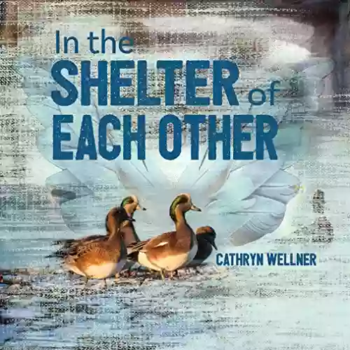 In The Shelter Of Each Other (Small Scale Stories 4)