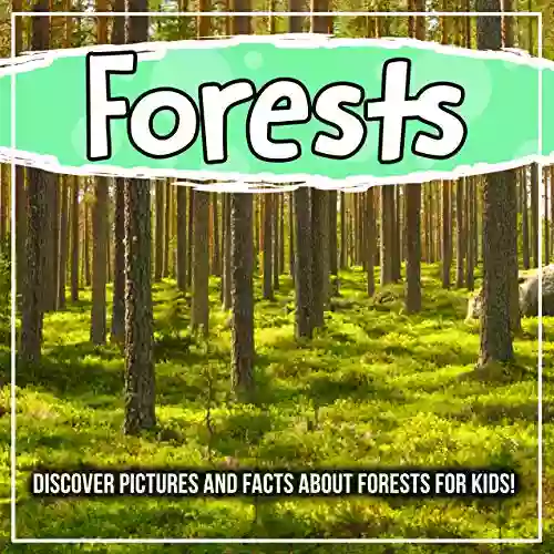 Forests: Discover Pictures And Facts About Forests For Kids