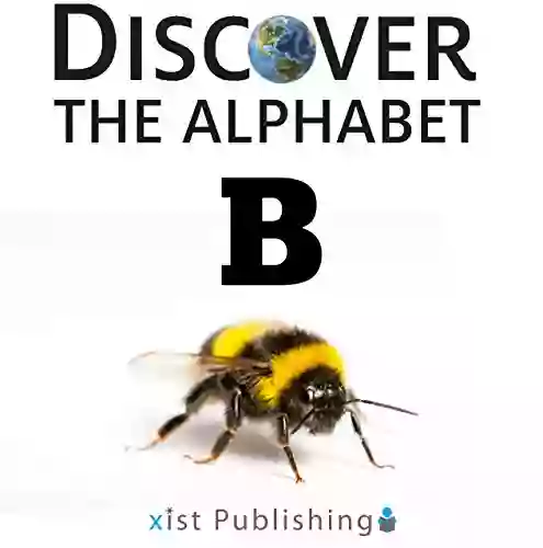 B (Discover the Alphabet 2)