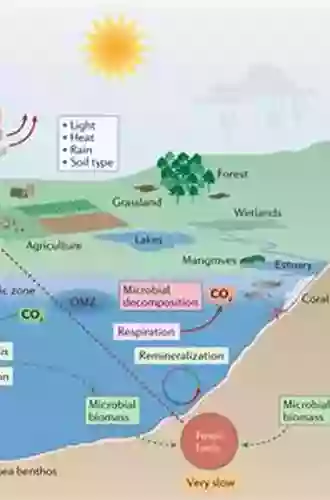 Forests And Global Change (Ecological Reviews)