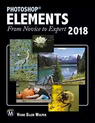 Photoshop Elements 2018: From Novice to Expert