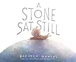 A Stone Sat Still: (Environmental And Nature Picture For Kids Perspective For Preschool And Kindergarten Award Winning Illustrator)