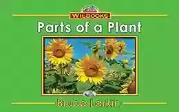 Parts Of A Plant Bruce Larkin