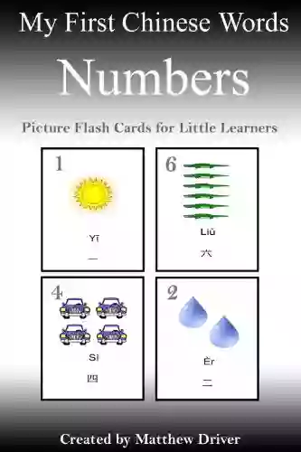 My First Words Of Chinese Numbers Picture Flash Cards For Little Learners