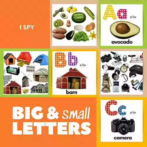 I Spy Big And Small Letters: A Of ABC Learning With Photos