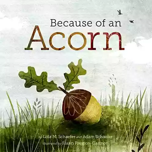 Because Of An Acorn: (Nature Autumn For Children Picture About Acorn Trees)