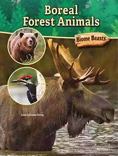 Biome Beasts Boreal Forest Animals Grades 3 5