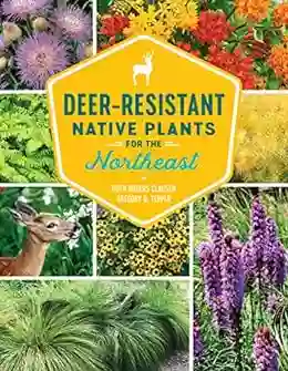 Deer Resistant Native Plants For The Northeast