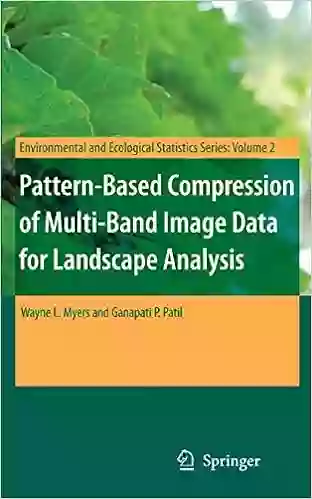 Pattern Based Compression of Multi Band Image Data for Landscape Analysis (Environmental and Ecological Statistics 2)