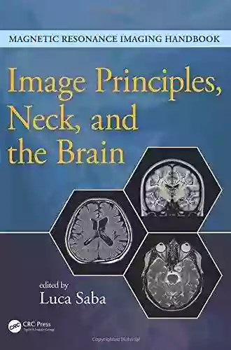 Image Principles Neck And The Brain (Magnetic Resonance Imaging Handbook)